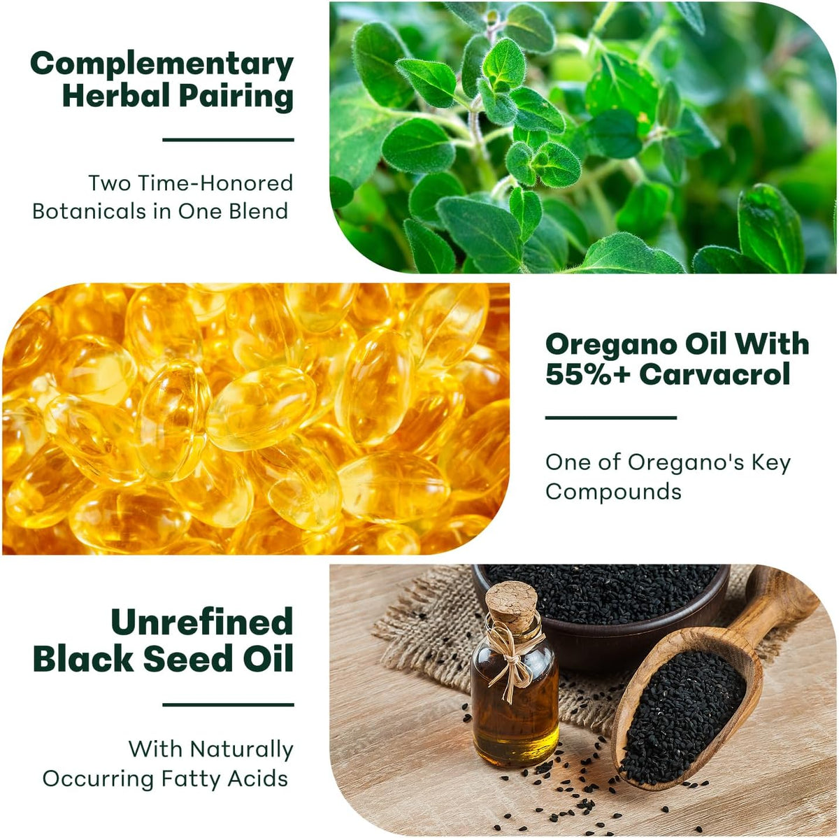 Micro Ingredients Oil of Oregano with Black Seed Oil, 300 Softgels — alternate product view