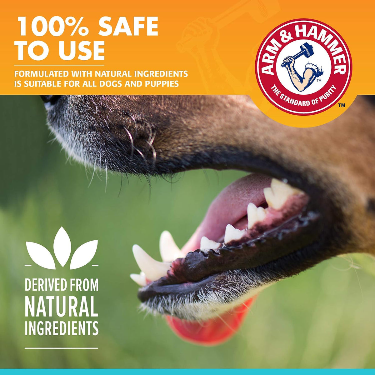 Arm & Hammer Fresh Breath Enzymatic Dog Toothpaste, Chicken, 67.5 g - view 4