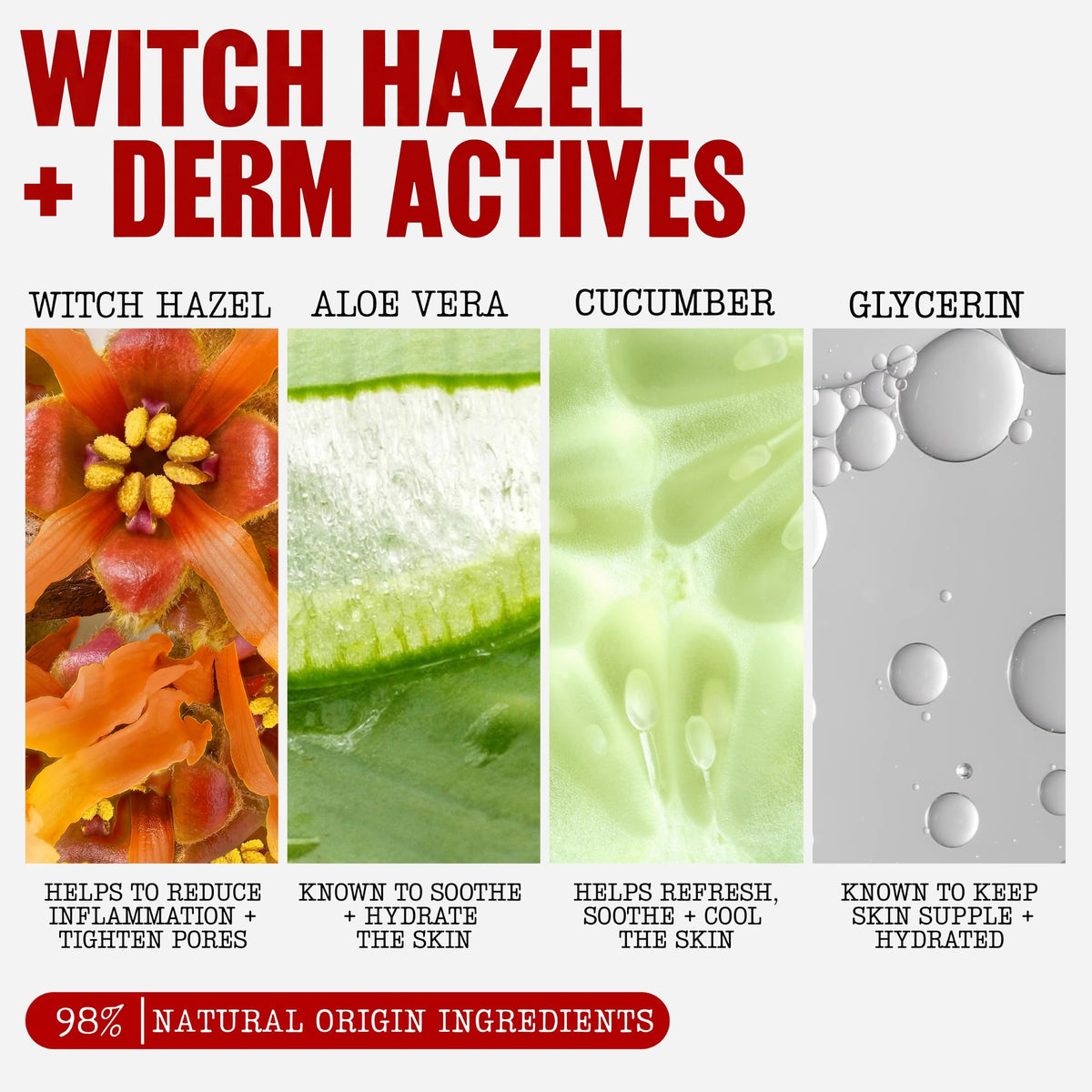 Thayers Coconut Witch Hazel Facial Toner with Aloe Vera 355 ml (12 fl oz) - view 3