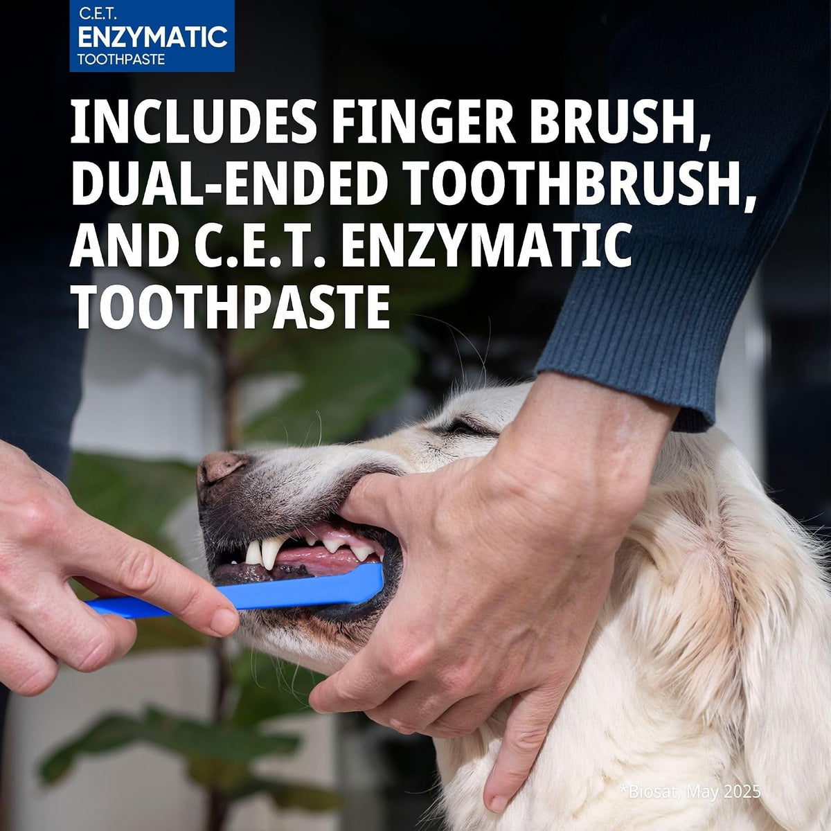 Virbac C.E.T. Oral Hygiene Kit for Dogs and Cats, Poultry Flavour - view 5