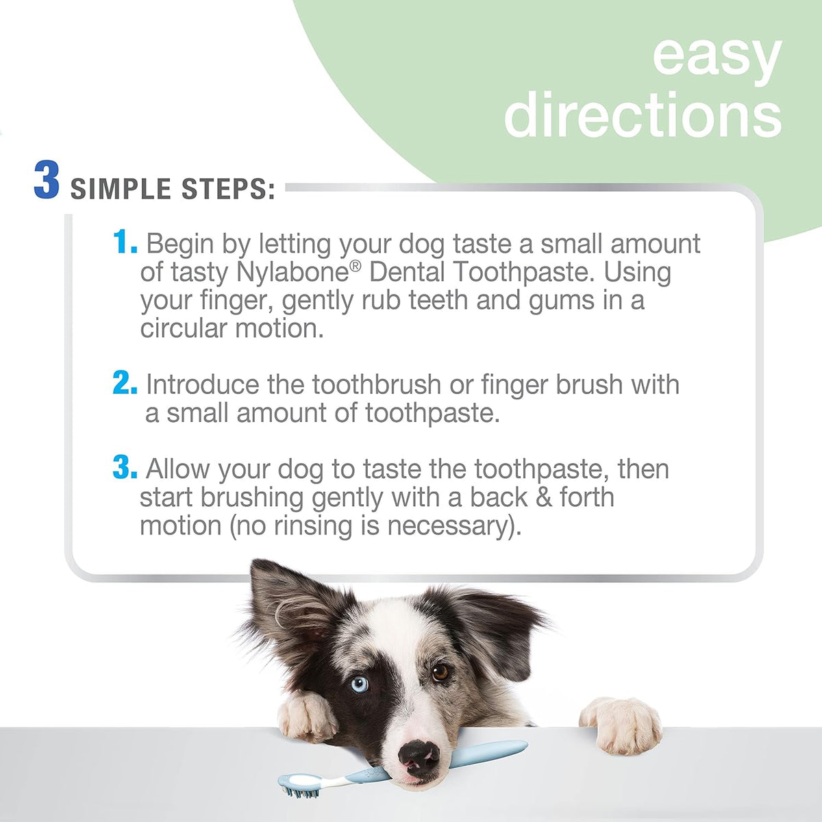 Nylabone Advanced Oral Care Natural Dog Toothpaste, Peanut Butter, 2.5 oz - view 3