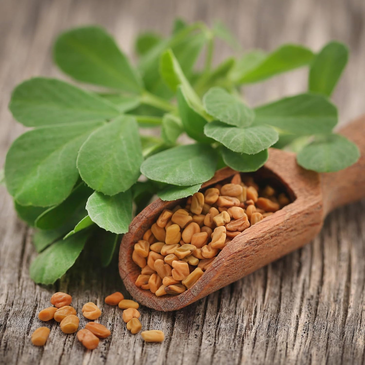 Alpi Nature Whole Fenugreek Seeds 250 g - view 4