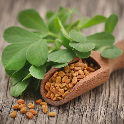Alpi Nature Whole Fenugreek Seeds 250 g - view 4