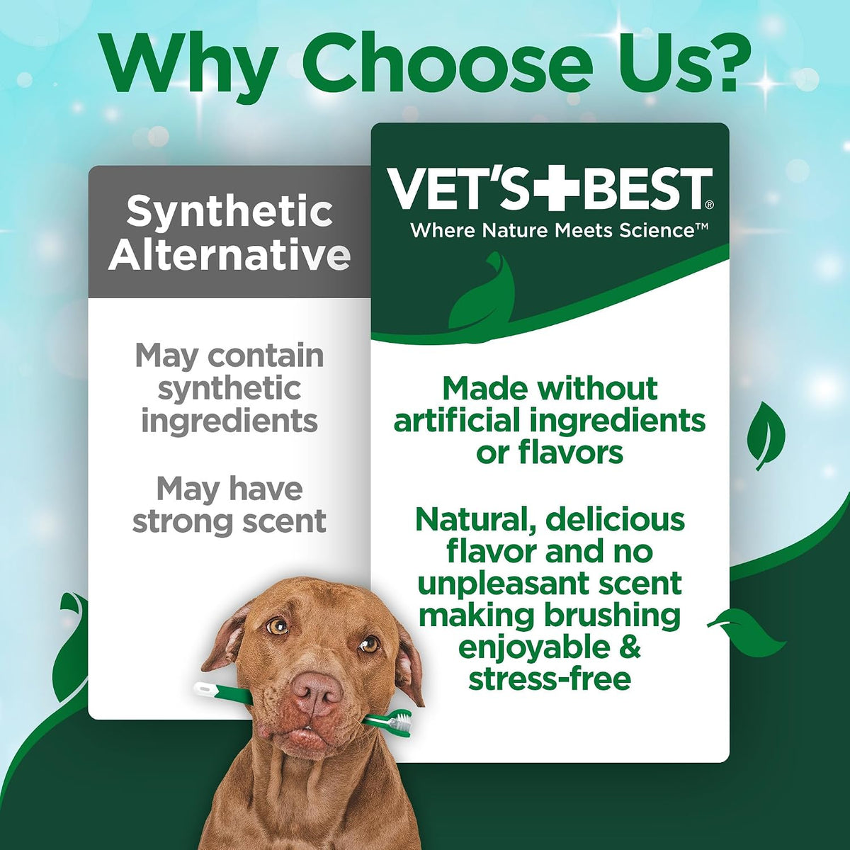 Vet's Best Enzymatic Dog Toothpaste Dental Gel, 3.5 oz - view 2