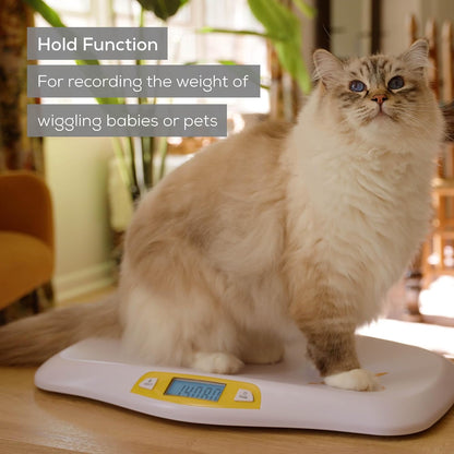 Beurer BY80 Digital Baby Scale, Up to 44 lbs - view 5