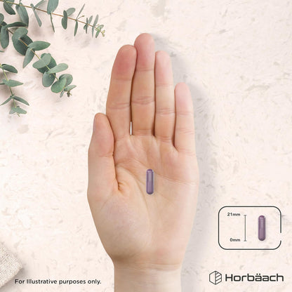 Horbäach Bilberry Extract Capsules 8,000mg, 25% Anthocyanidins - view 6