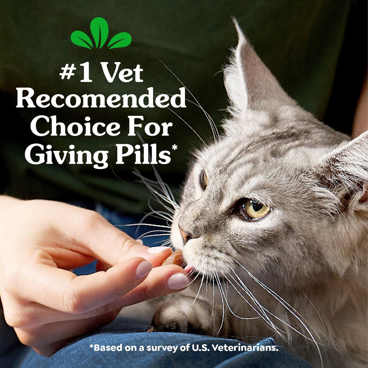Feline Greenies Pill Pockets Cat Treats, Salmon, 3oz (85 Treats) - view 3