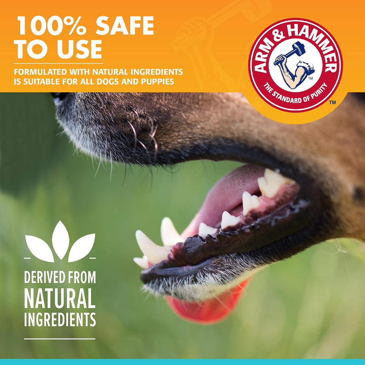 Arm & Hammer Fresh Breath Enzymatic Dog Toothpaste, Vanilla Ginger, 67.5 g - view 4
