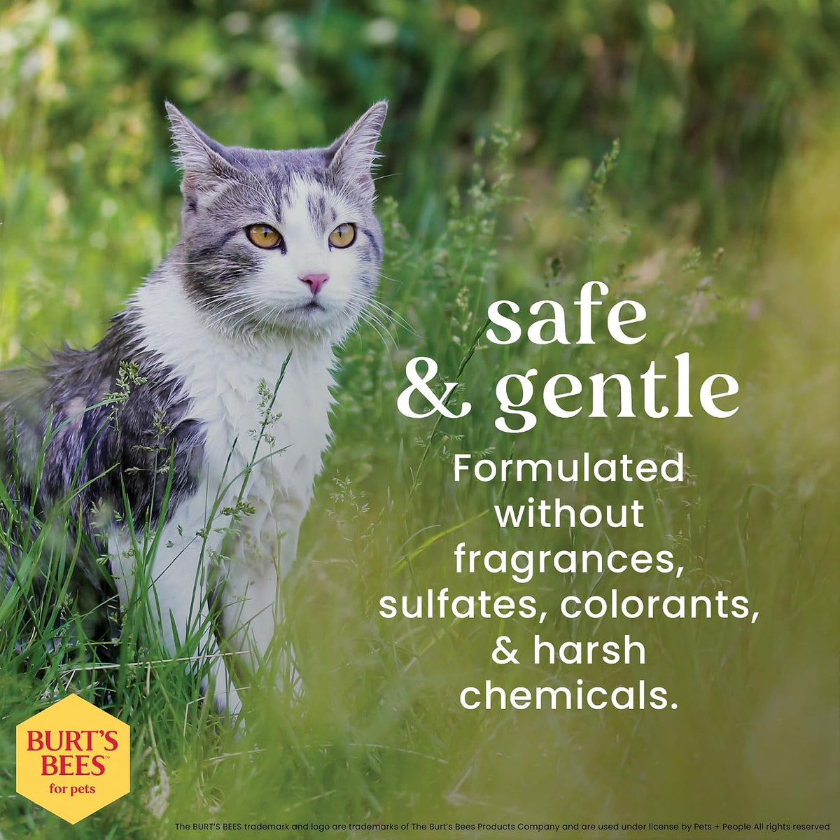 Burt's Bees for Pets Cat Dander Remover Wipes, Unscented, 50 Count - view 2