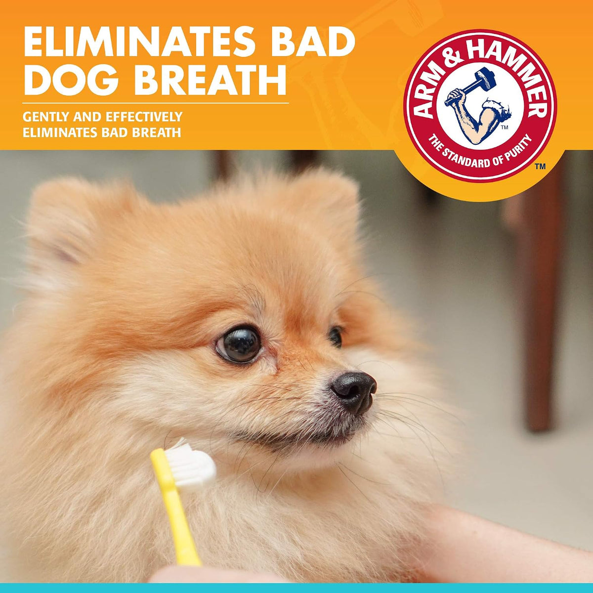 Arm & Hammer Fresh Breath Enzymatic Dog Toothpaste, Chicken, 67.5 g - view 2