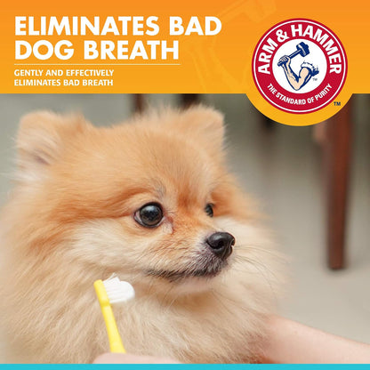 Arm & Hammer Fresh Breath Enzymatic Dog Toothpaste, Chicken, 67.5 g - view 2