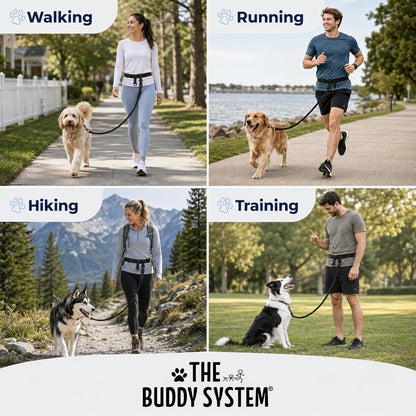 The Buddy System Adjustable Hands Free Dog Lead, Regular, Red - view 6