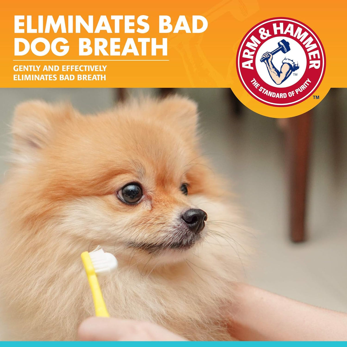 Arm & Hammer Fresh Breath Enzymatic Dog Toothpaste, Vanilla Ginger, 67.5 g - view 2