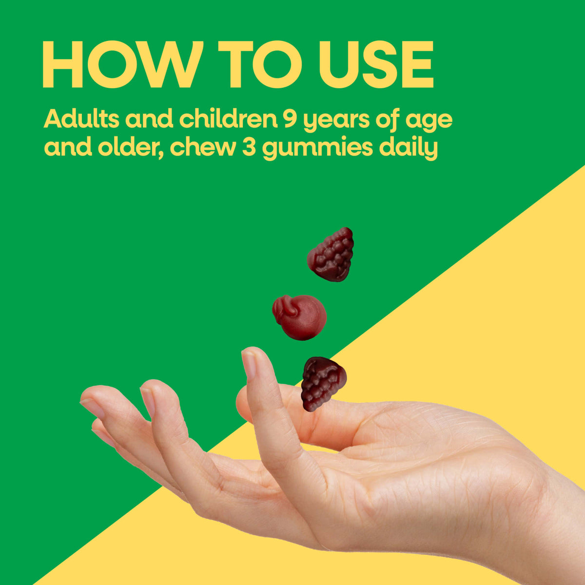 Nature's Way Alive! Adult Premium Gummies Multivitamin Grape & Cherry 90 Gummies - view 5
