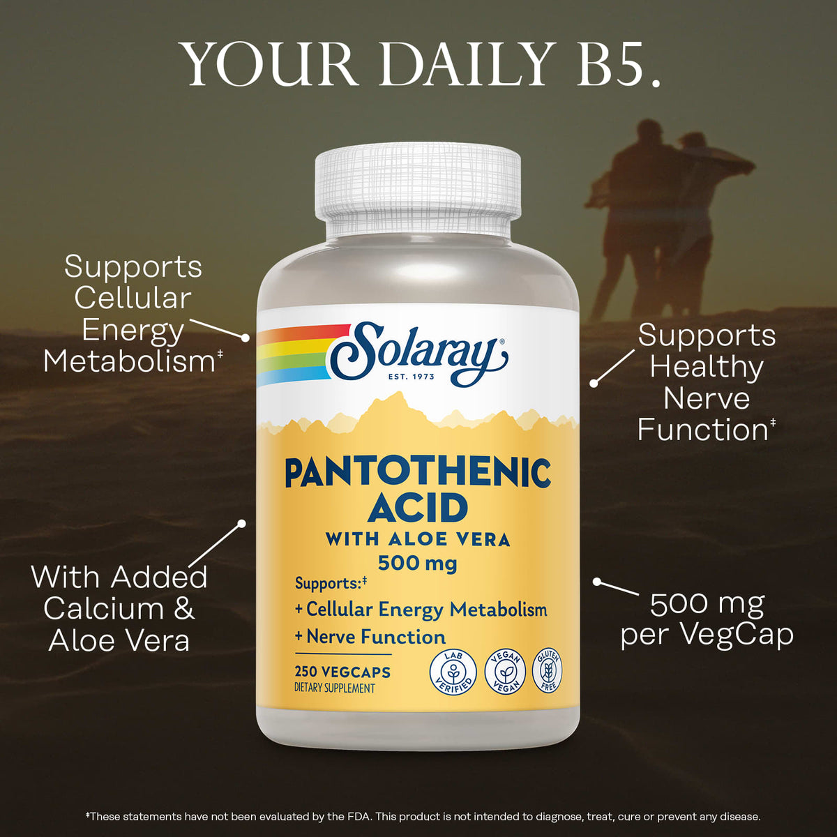 Solaray Pantothenic Acid with Aloe Vera, 250 VegCaps - view 3