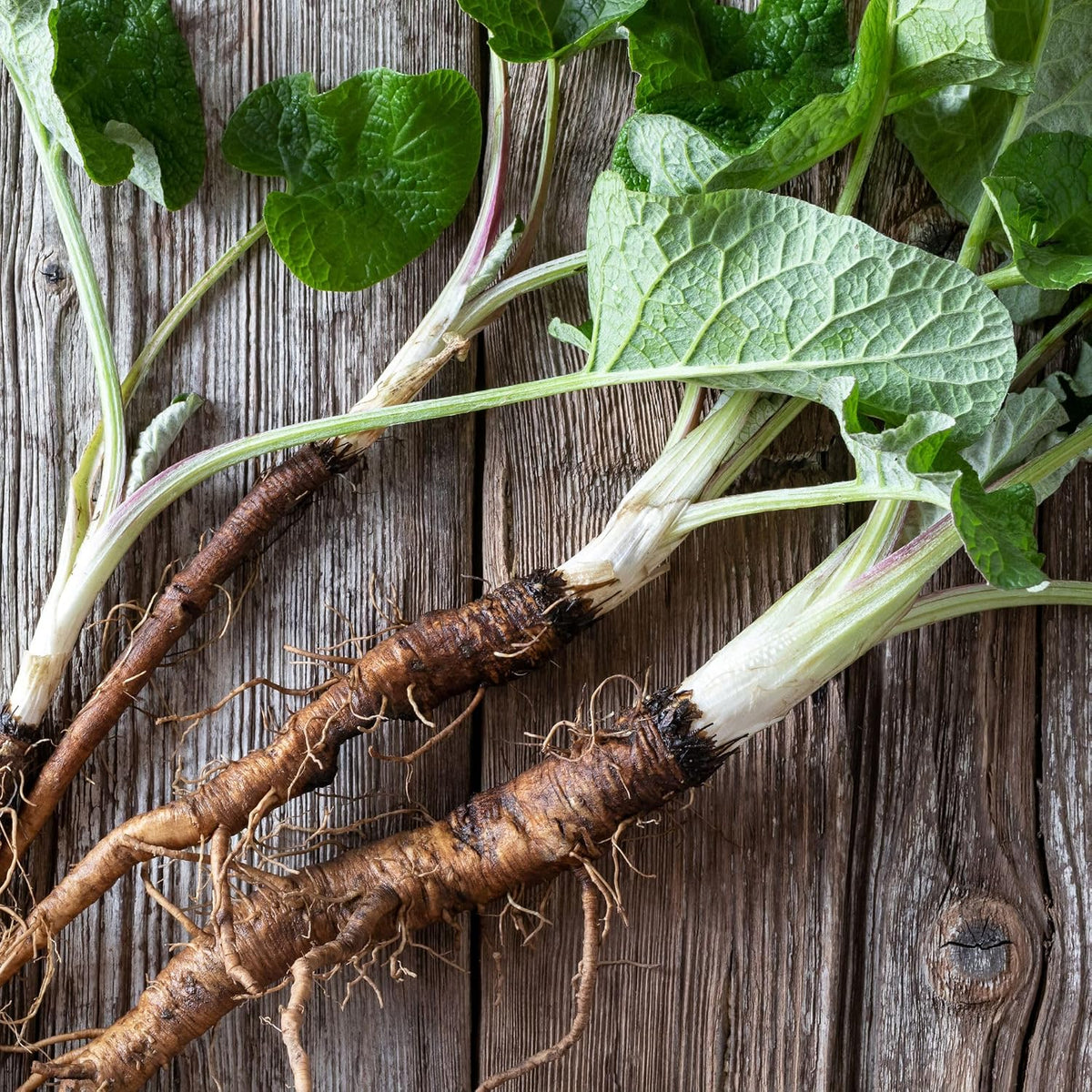 Alpi Nature Organic Burdock Root Tea 200g - view 4
