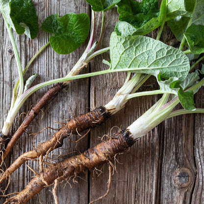 Alpi Nature Organic Burdock Root Tea 200g - view 4