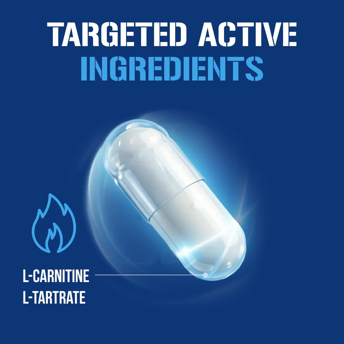 EVLution Nutrition L-Carnitine500 500 mg, 120 Capsules - view 3
