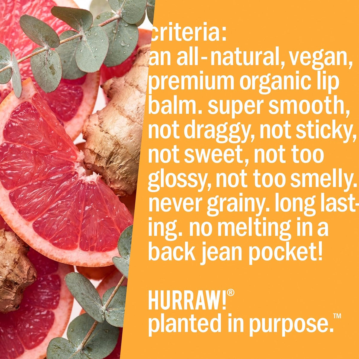 Hurraw! Kapha Lip Balm, Grapefruit Ginger Eucalyptus, 4.8 g - view 6
