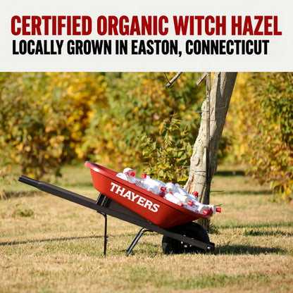 Thayers Cucumber Witch Hazel Facial Toner with Aloe Vera 355 ml (12 fl oz) - view 6
