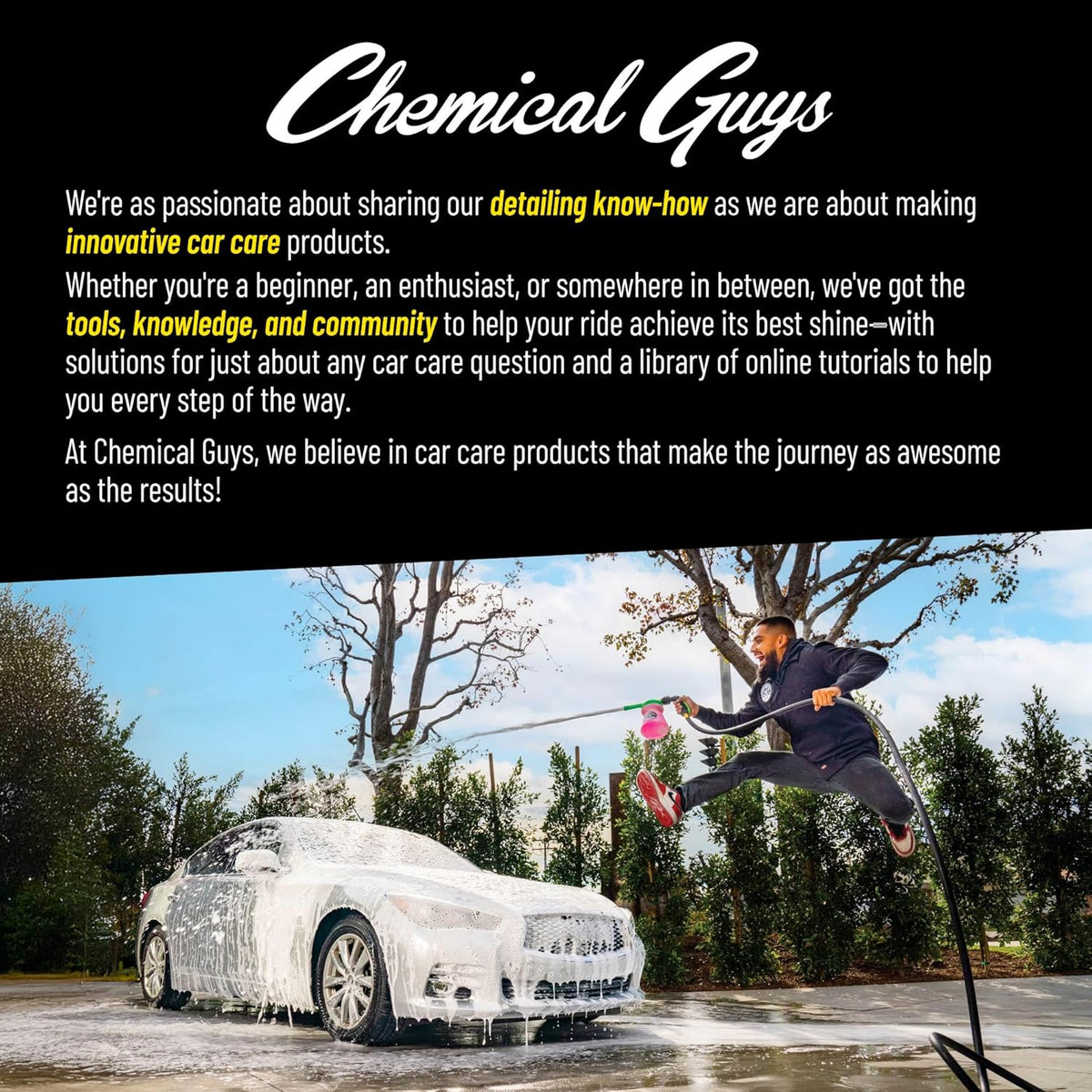 Chemical Guys Wheelie Wheel and Exterior Brush, Soft, Green - view 6