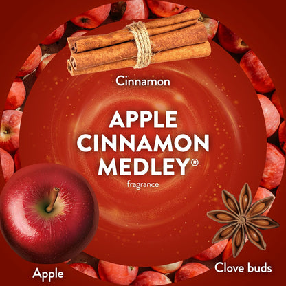 Air Wick Scented Oil Refills Apple Cinnamon Medley 5 x 0.67 fl oz - view 4