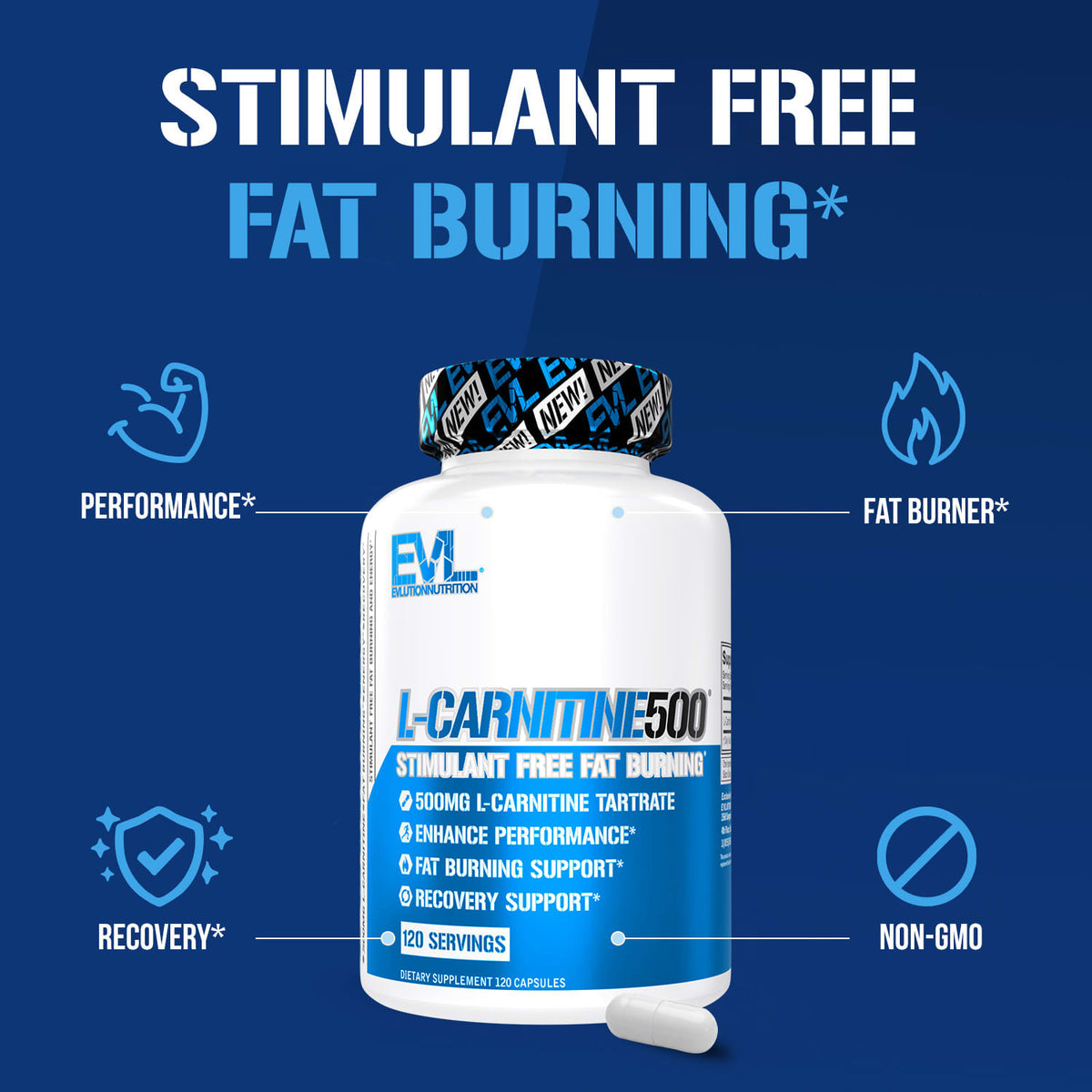 EVLution Nutrition L-Carnitine500 500 mg, 120 Capsules - view 4