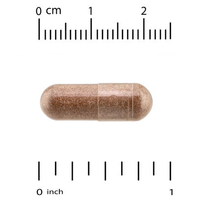 Quality of Life Kinoko Platinum AHCC, 750 mg, 60 Vegicaps - view 3
