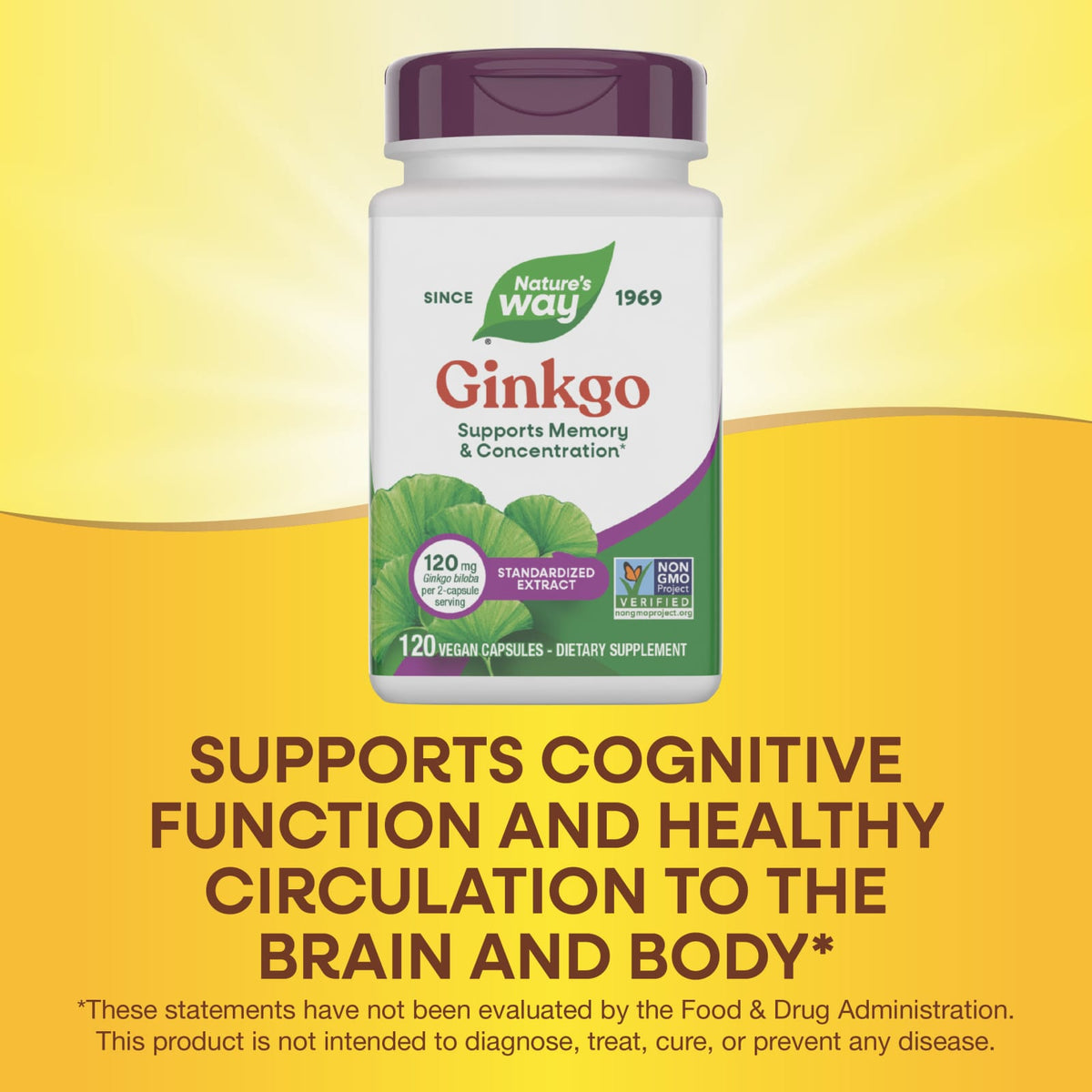 Nature's Way Ginkgo, Standardized Extract, 120 Vegan Capsules - view 6