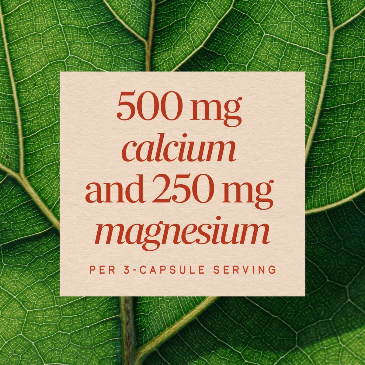 Nature's Way Calcium & Magnesium Mineral Complex, 250 Capsules - view 5