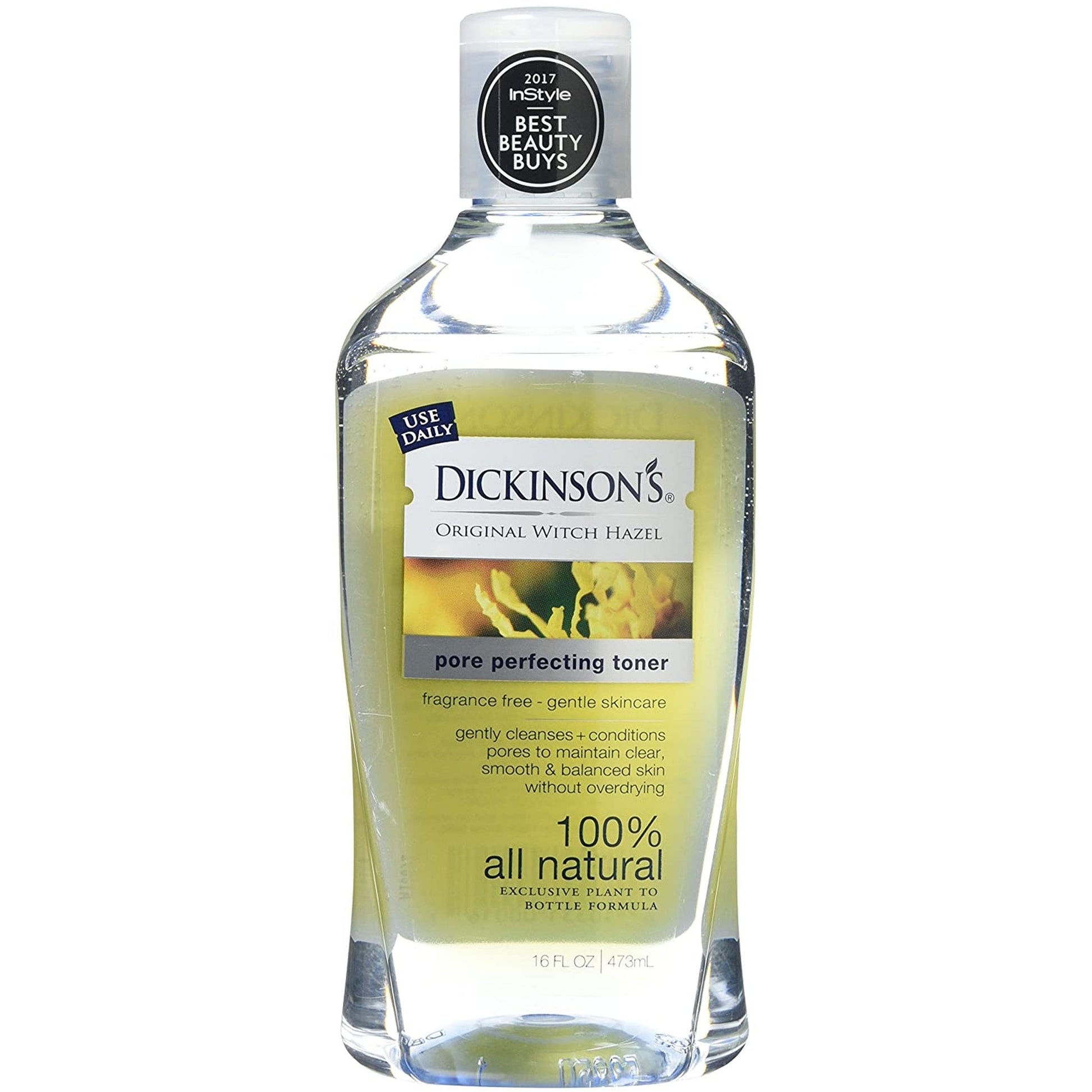 Dickenson'S DICKINSON029595 Original Witch Hazel Pore Perfecting Toner, 16 Oz/475 Ml Volume